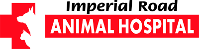 Imperial Road Animal Hospital